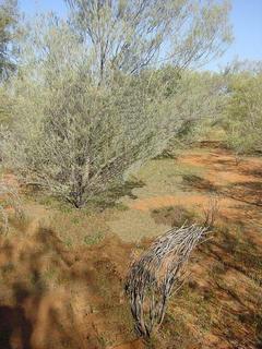 #1: General area of the confluence