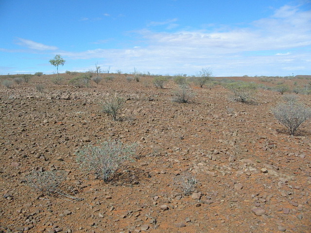 View to confluence  from 80m