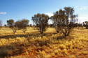 #2: Looking North From Confluence