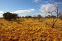 #4: Looking East From Confluence