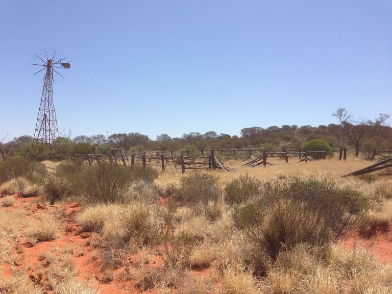 West Bore at Angas Downs near confluence