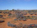 #5: View from confluence looking south