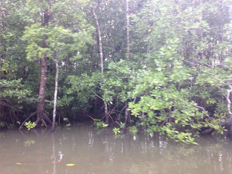 Looking NE from river bank towards confluence, some 900 m away