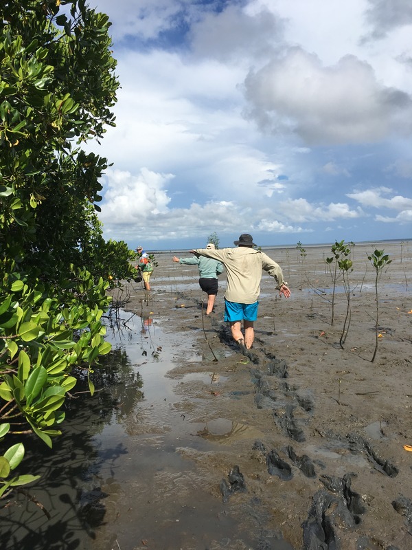 Typical mudflats at low tide