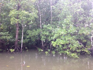 #1: Looking NE from river bank towards confluence, some 900 m away