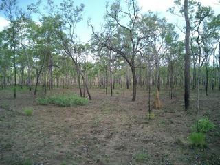 #1: A view from the confluence point