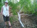 #4: Alison with one of the native trees in the nearby creek