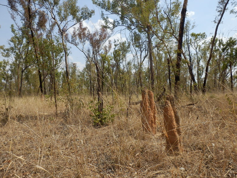 The Confluence from 15 m distance