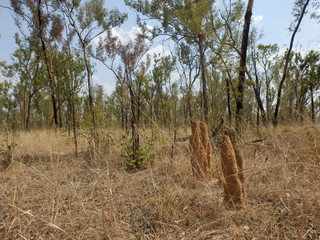 #1: The Confluence from 15 m distance