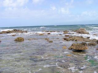 #1: The confluence point is about 6.6 km past this coral reef