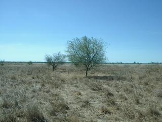 #1: View from the confluence point, looking north