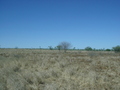 #2: View from the confluence point, looking east