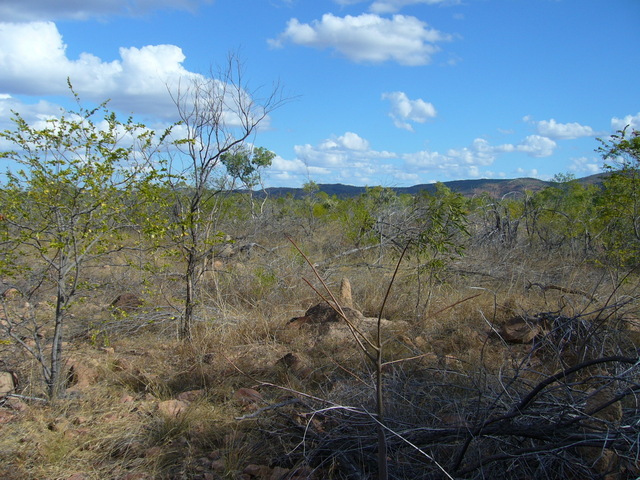 View to the south