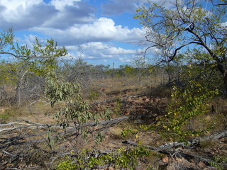 #1: Looking southeast towards the confluence site