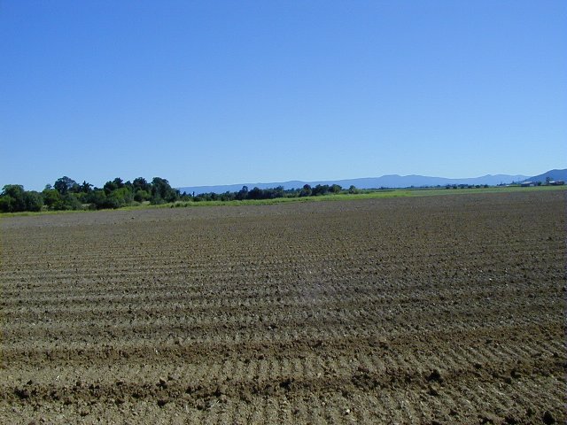 View W from confluence.