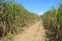 #3: Looking South from the Confluence Site