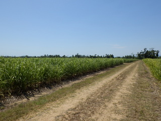 #1: The Confluence from 30 m distance