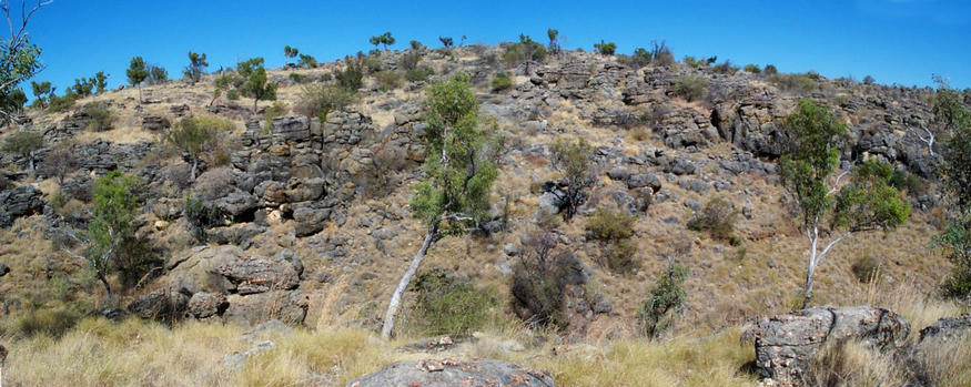 Ancient limestone at Riversleigh fossil site.