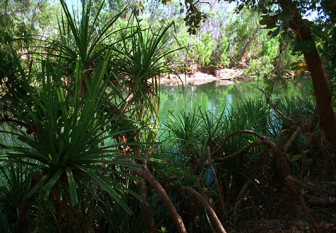 The Gregory River is a much nicer place to spend a hot day.