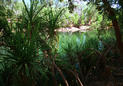 #5: The Gregory River is a much nicer place to spend a hot day.