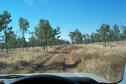 #3: The road north through Kamillaroi.