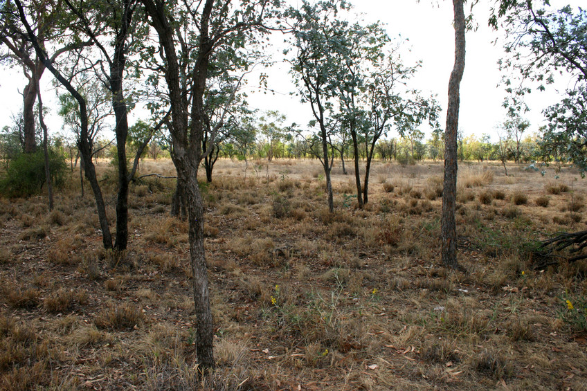 Conflence looking North