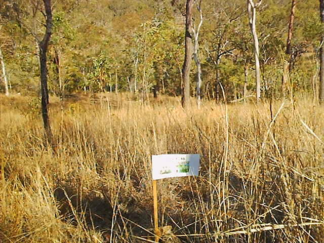 View west down the hill.