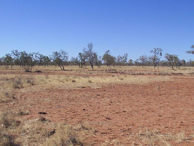 View of the CP, about 10m in front of the tree