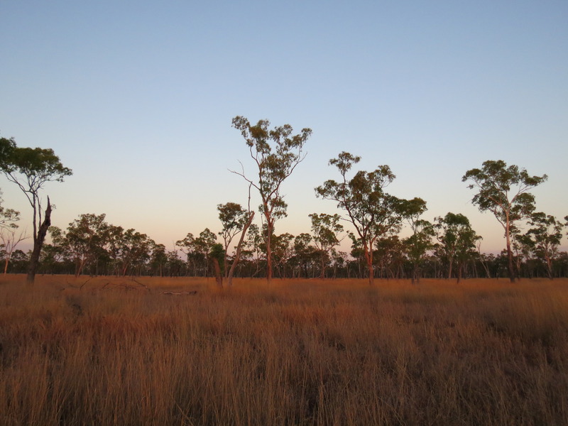 View to the West