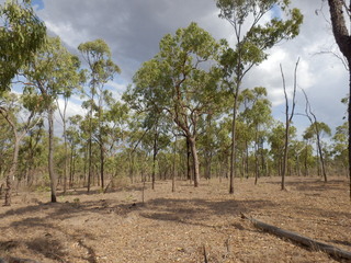 #1: The Confluence from 15 m