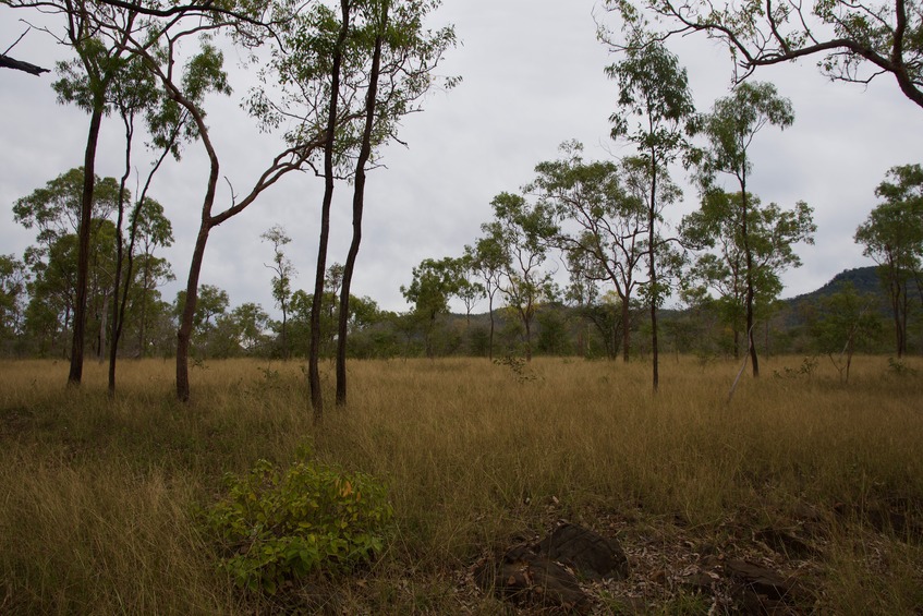 View West (towards a gravel road (not visible), 100 m away)