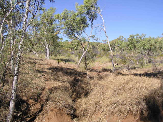 General view from near confluence