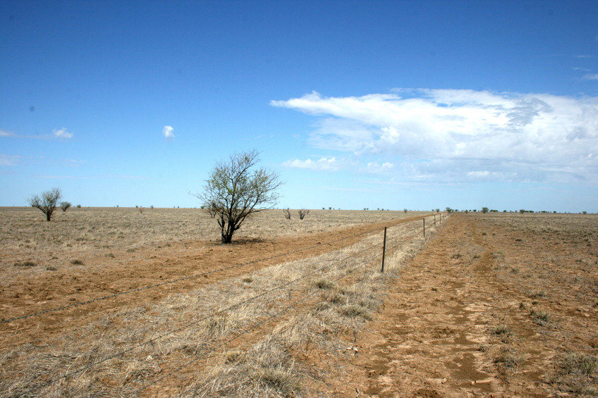 View West