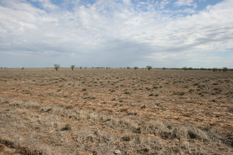 #1: Confluence looking North through fence