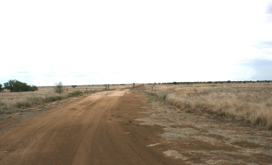 Road to Lucindale and Leslew Downs stations