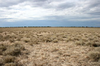 #1: Confluence looking North