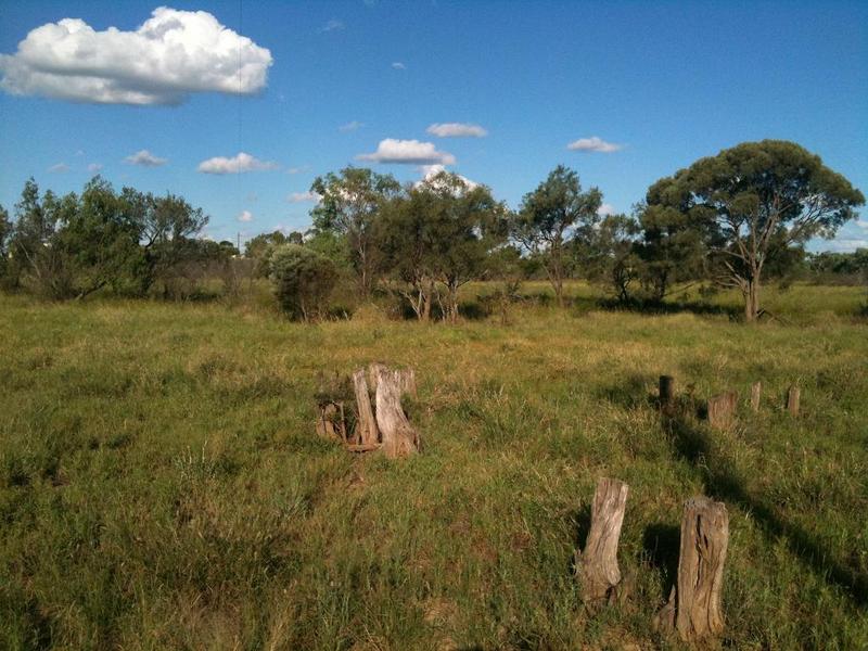 General view towards the confluence, just in front of the trees