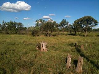 #1: General view towards the confluence, just in front of the trees