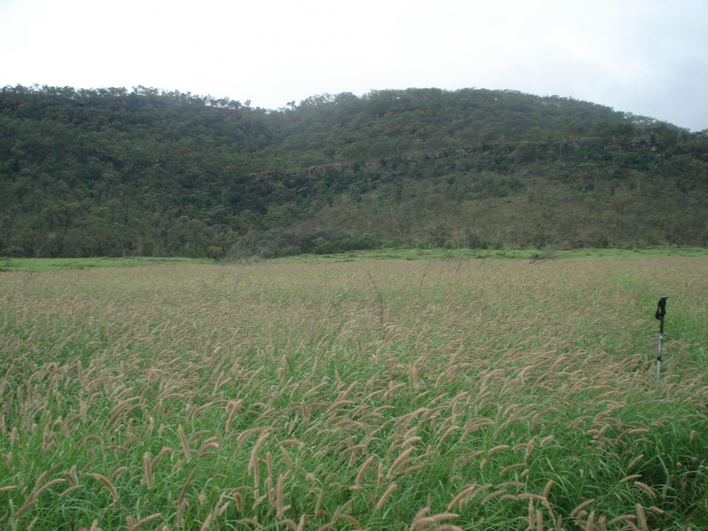 Looking East with trekking pole on right marking spot