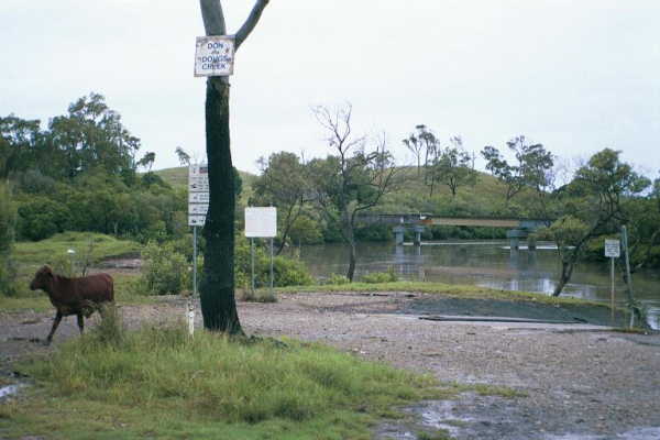 "Don and Dougs Creek"