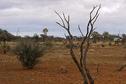 #3: Looking West - (note our vehicle at the border fence)