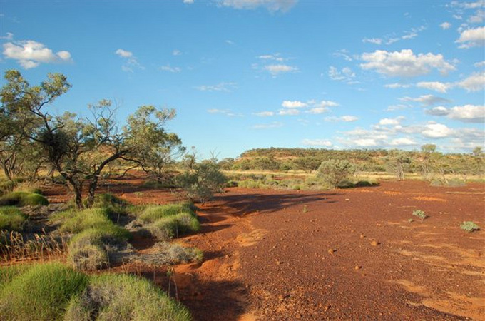 View to the North