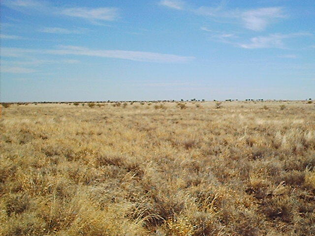 At the confluence looking east.