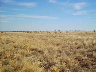 #1: At the confluence looking east.