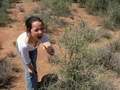 #10: Rach tests a prickle bush near the site