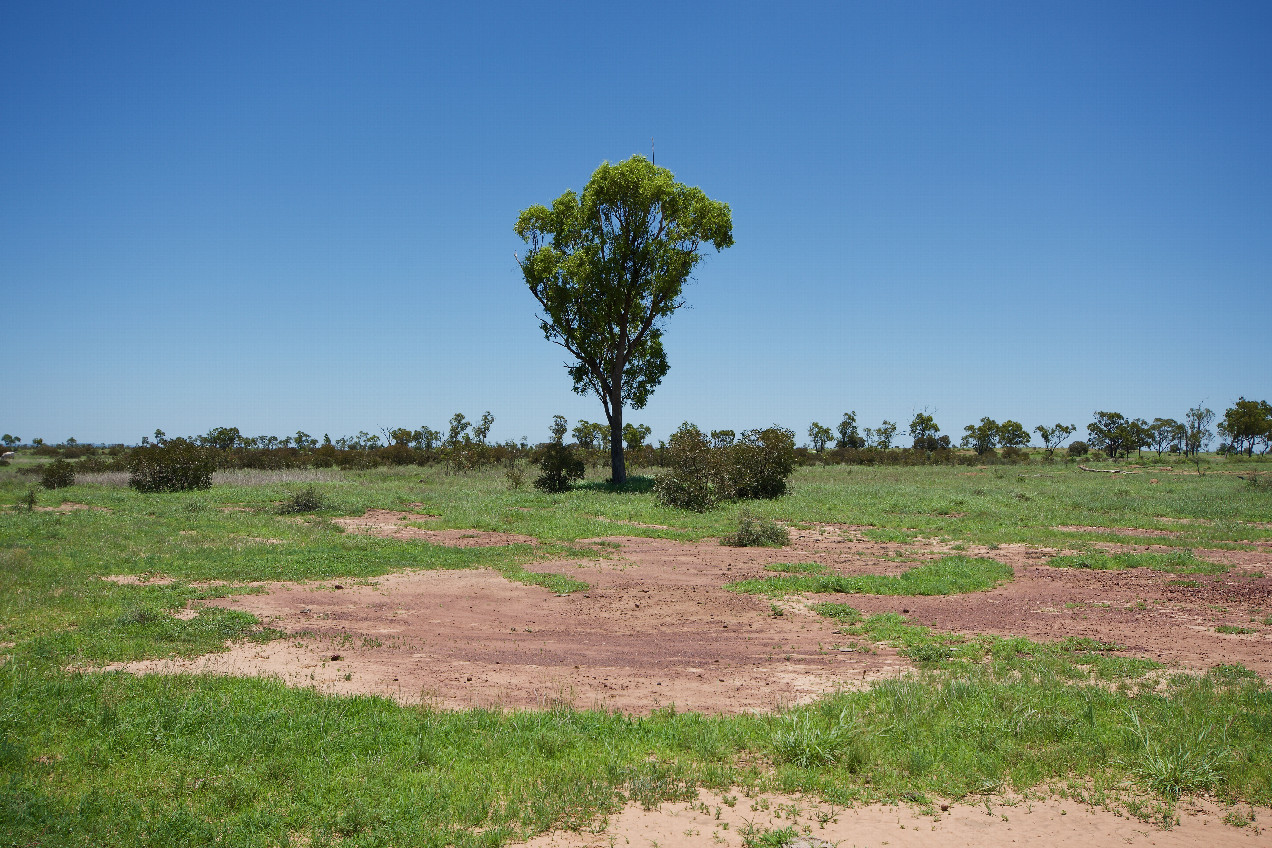 The confluence point lies in ranch land.  (This is also a view to the West.)