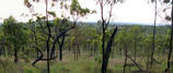 #4: View from the confluence back toward the road