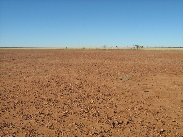 The Confluence Point From 50m West Looking East