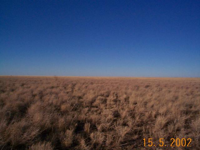 Looking south with the confluence point in the foreground