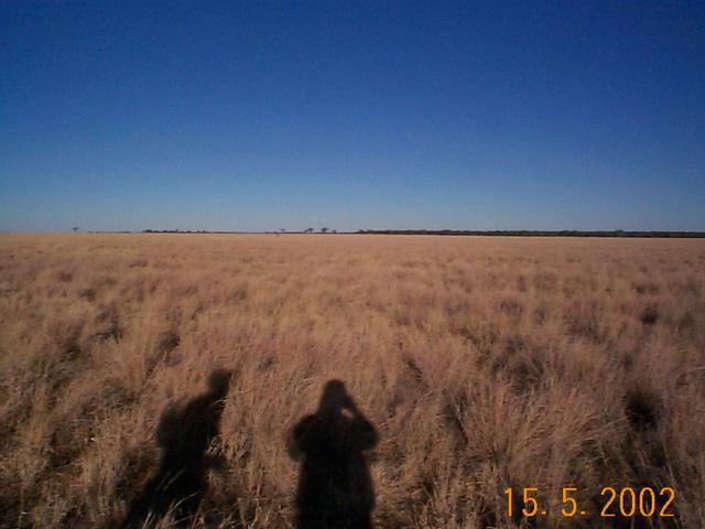 Looking west from the confluence point